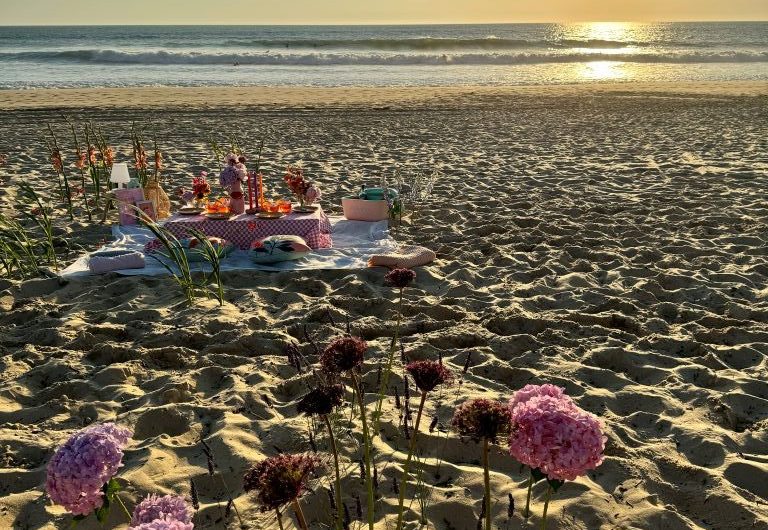 ALL YOU NEED pique nique privé – V2