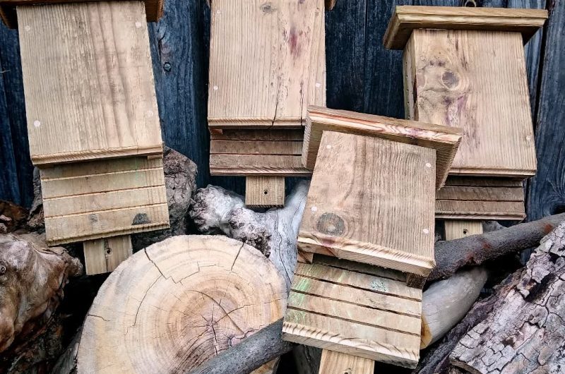 Abri chauve-souris 15-04