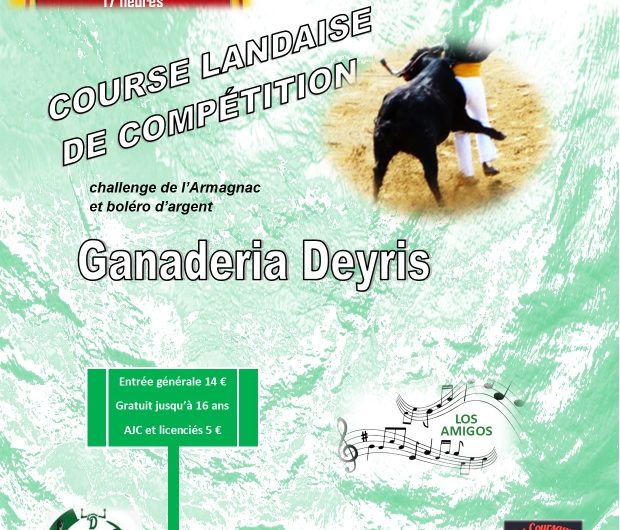 Affiche Deyris