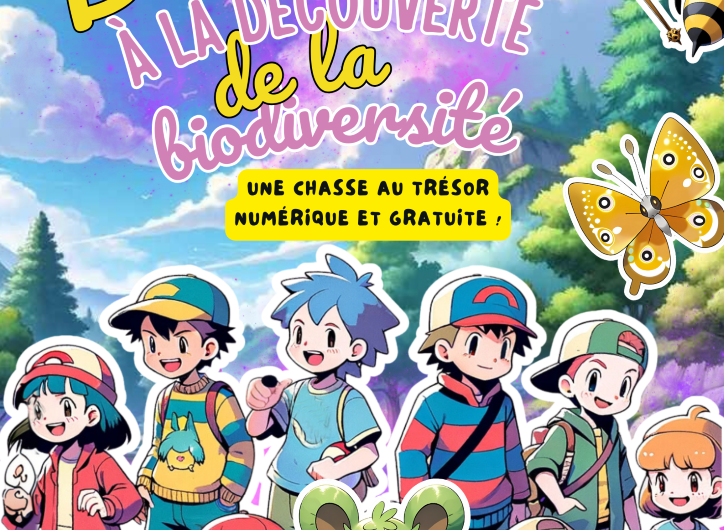 AfficheNumériqueBiokémon