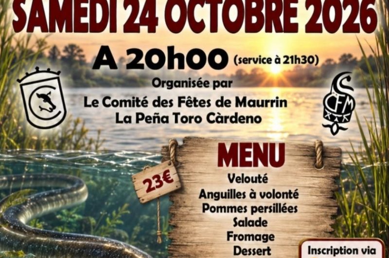 Anguillade maurrin