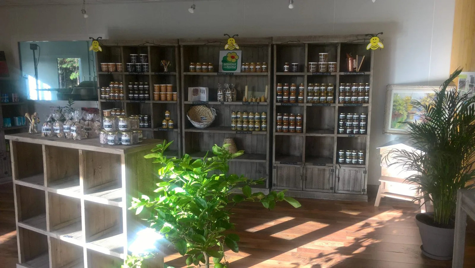 ApiMelli02-StLon_OTPOA