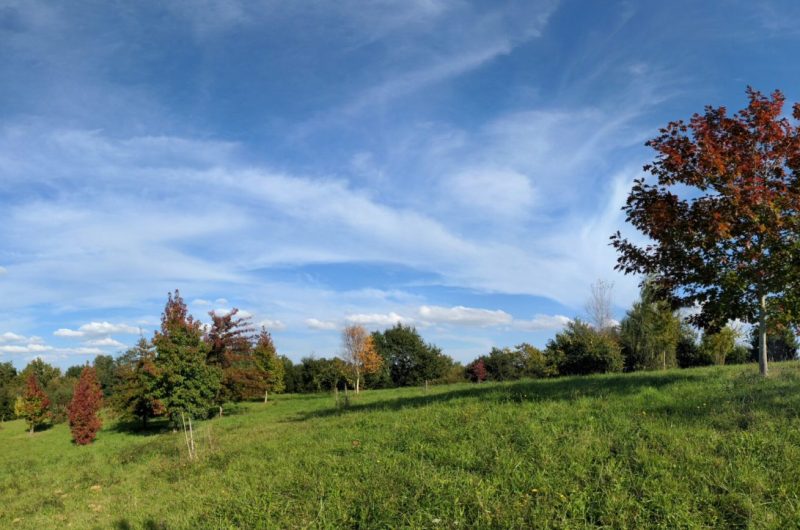 Arboretum Pouillon 1