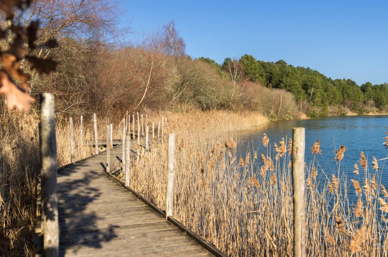 Arjuzanx – site en hiver – ponton @landes attractivité-26