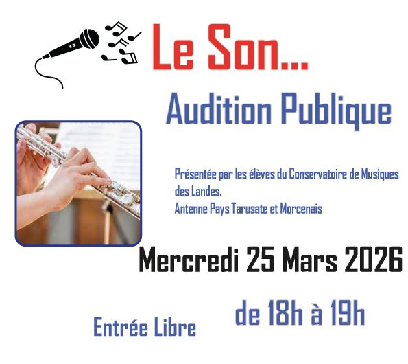 Audition-Publique–Mercedi-25-mars