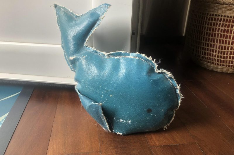 Aumaitre_capbreton_landesatlantiquesud (12)