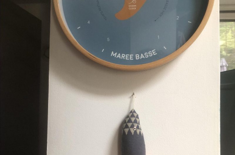 Aumaitre_capbreton_landesatlantiquesud (2)