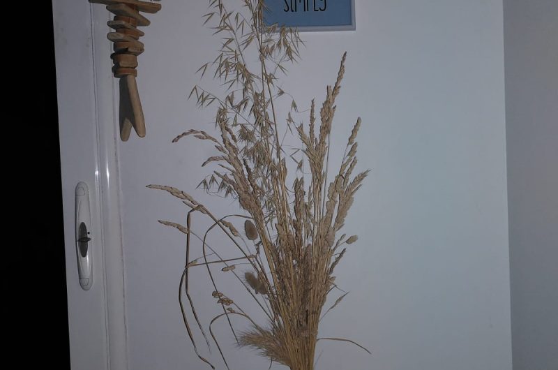 Aumaitre_capbreton_landesatlantiquesud (7)