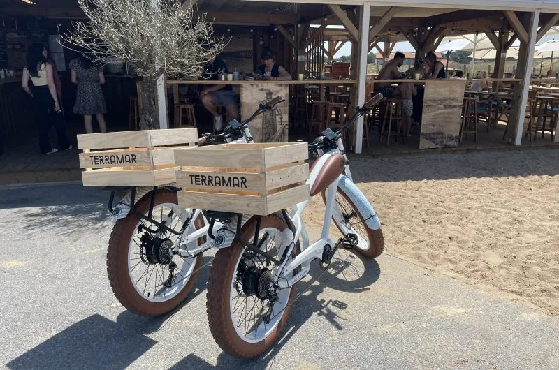 B23D9796-51BF-47D8-A2D1-D0370B91E770