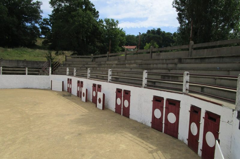 Bahus Soubiran (2) (1)