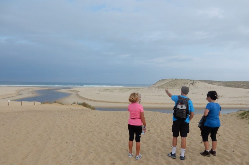 Balade-pedestre-Jacques-Molietsetmaa@OTILandesAtlantiqueSud