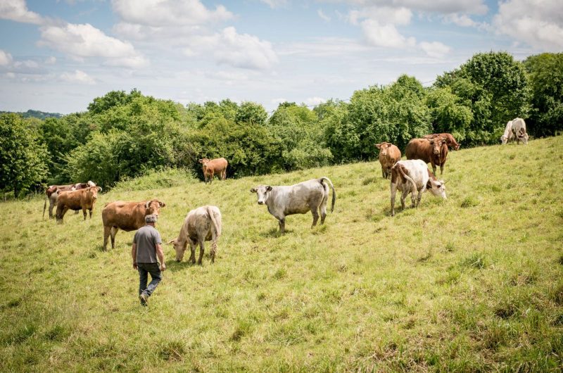 Banos_La Ferme de Berdin_@Magali Tauzin (1)