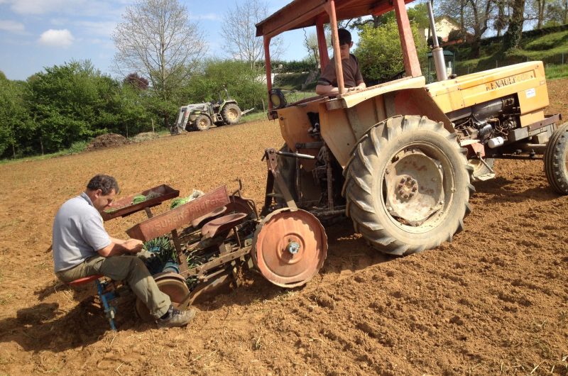 Banos_La Ferme de Berdin_@Magali Tauzin (2)