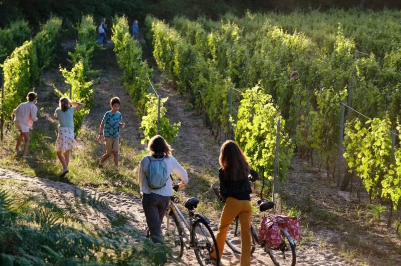 Bennie Studio 21_La Pointe