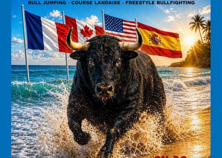 Bulls on the beach_Vieux Boucau_Landes Atlantique Sud