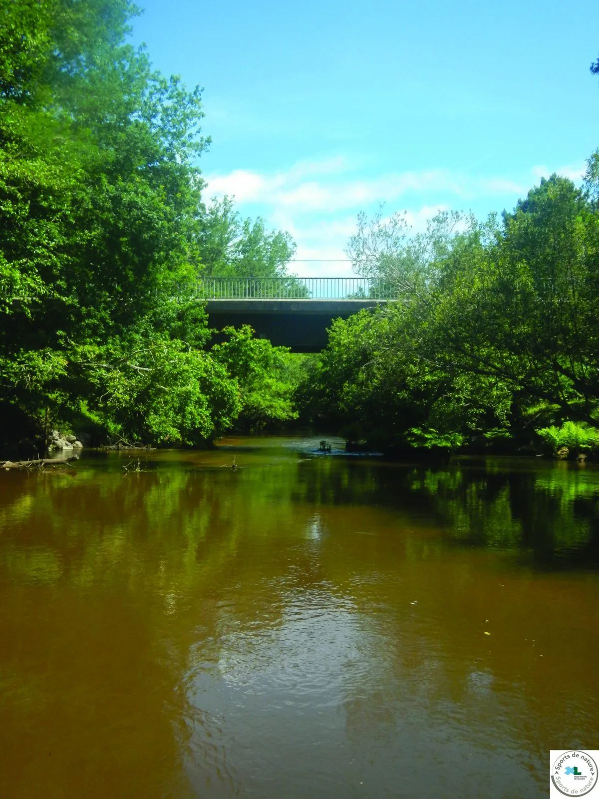 La Leyre : Pont de Moustey – Pont de Saugnac