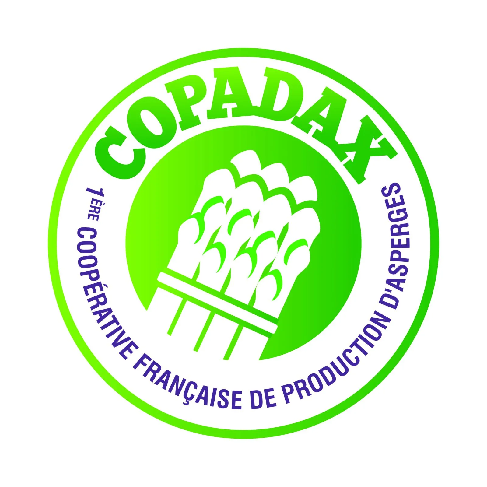 CASTETS-COPA-DAX–3–2