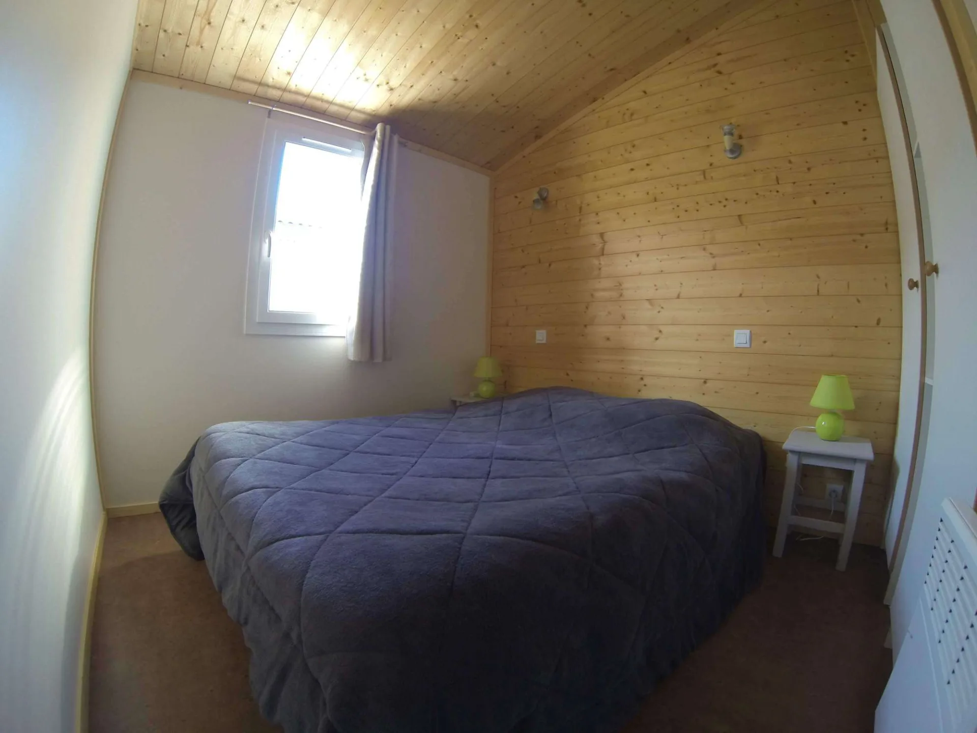 CDT-40-tfinal-Pion-5