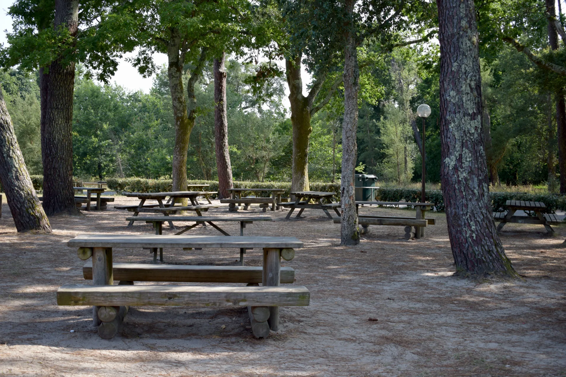 CLNT—LEON—Aire-de-pique-nique-Cote-gauche-du-lac–1-