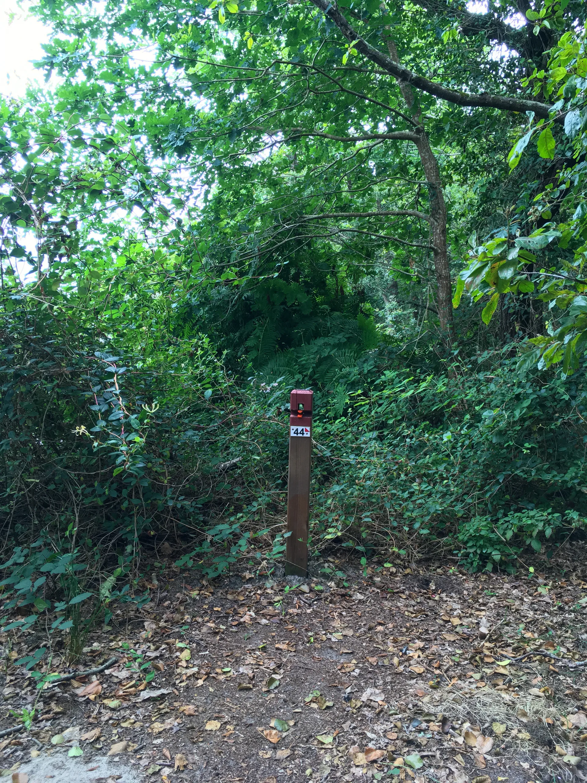 CLNT – LEON – Parcours permanent d’Orientation (10)