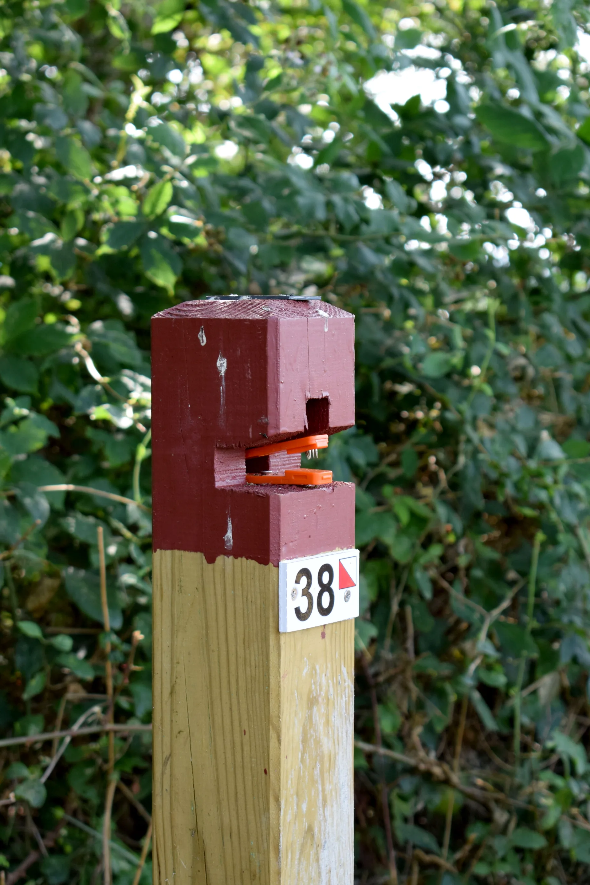 CLNT—LEON—Parcours-permanent-d-Orientation–3-