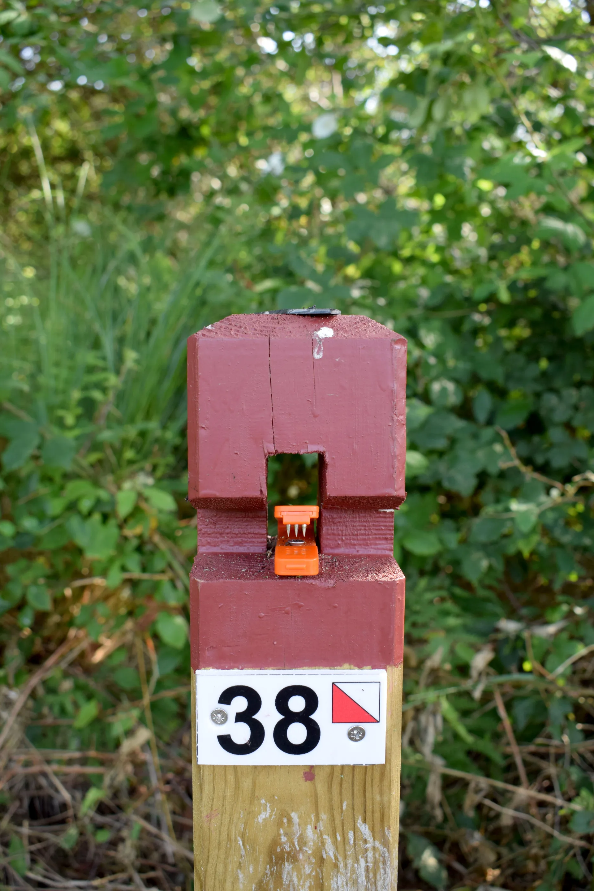 CLNT – LEON – Parcours permanent d’Orientation (4)