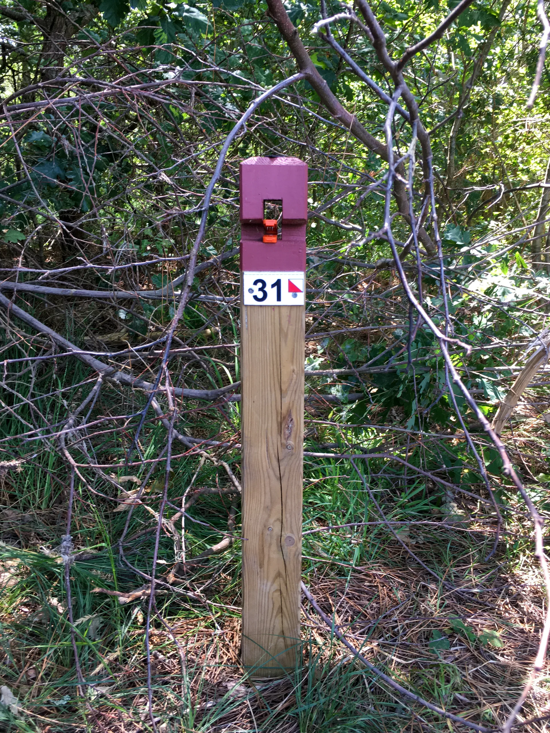 CLNT – LEON – Parcours permanent d’Orientation (5)