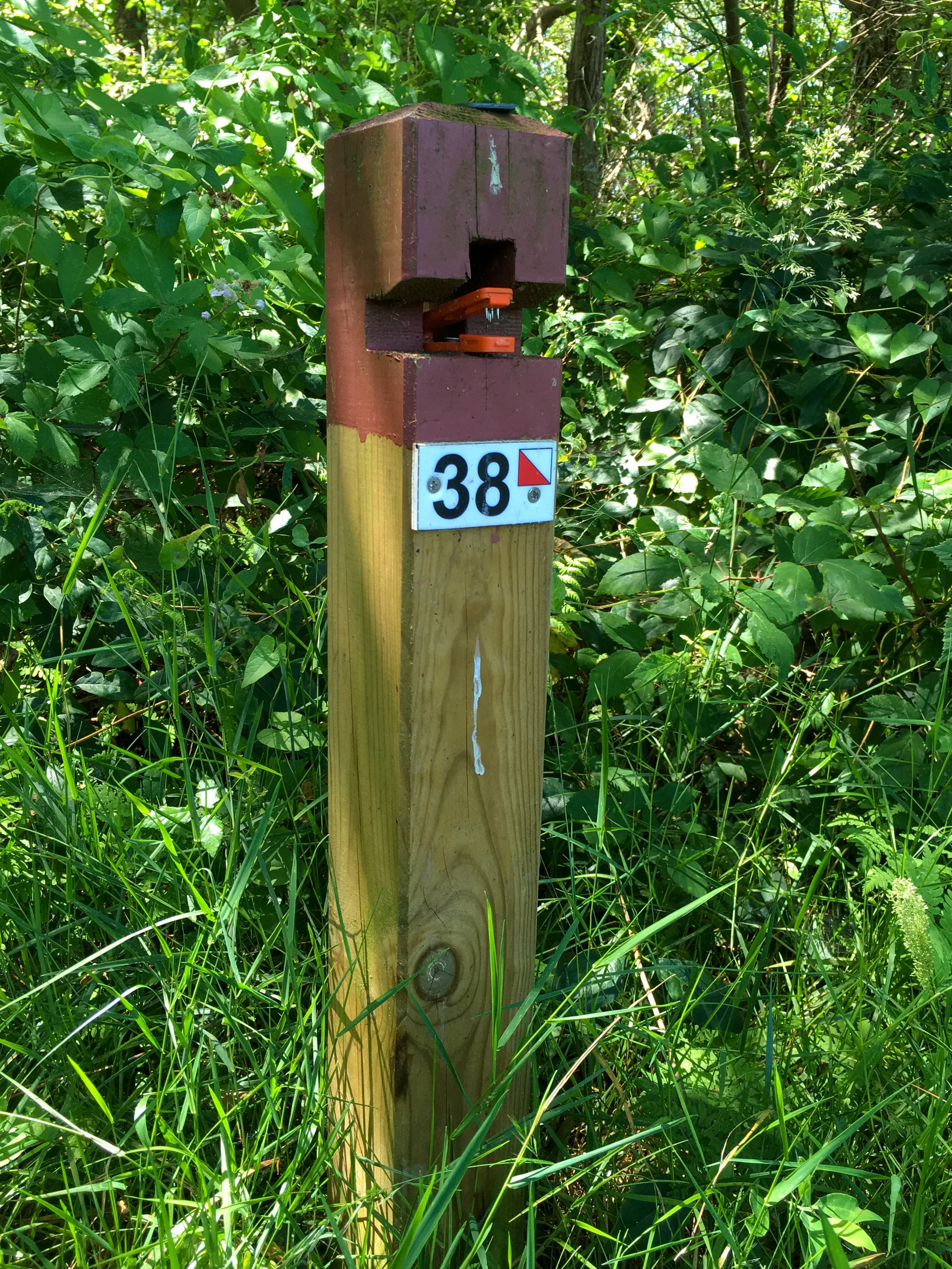 CLNT – LEON – Parcours permanent d’Orientation (6)