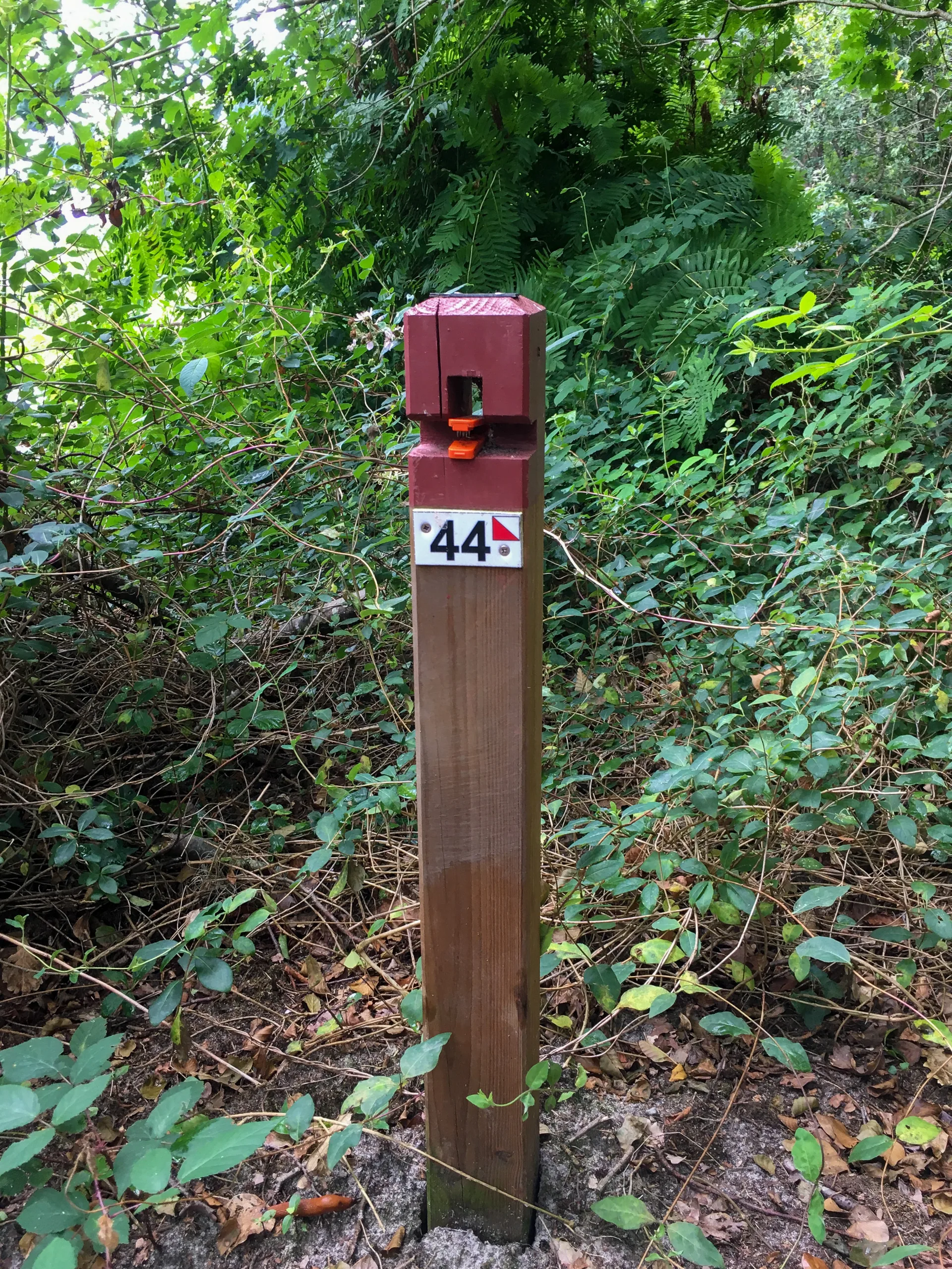 CLNT – LEON – Parcours permanent d’Orientation (9)