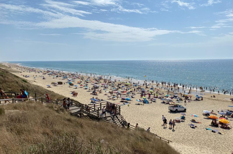 CLNT – LIT ET MIXE – Plage du Cap de l’Homy (3)