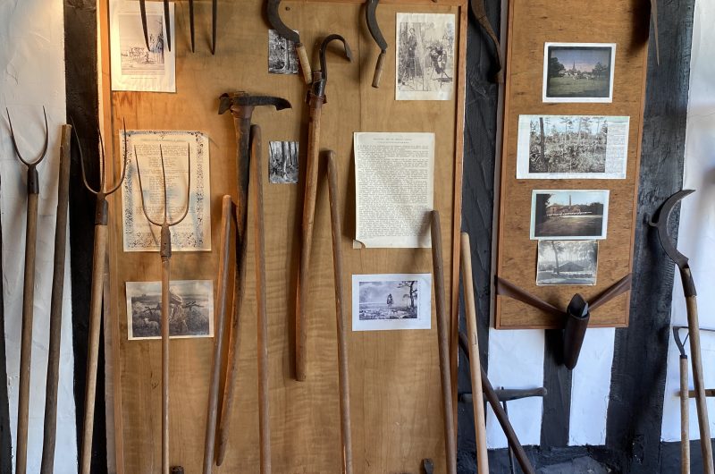 CLNT-LEVIGNACQ-Musée Jean Boucau (32)