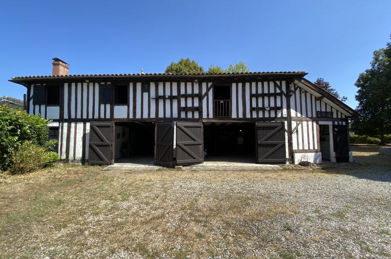 CLNT-LEVIGNACQ-Musée Jean Boucau (56)