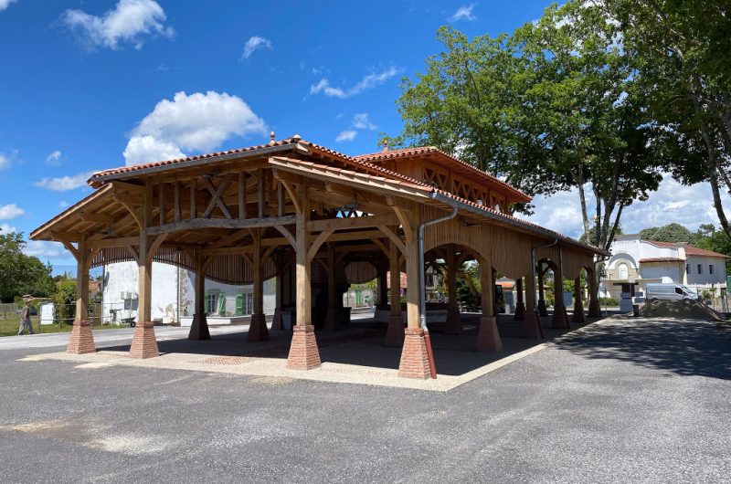 CLNT-LINXE-Halle (1)TS