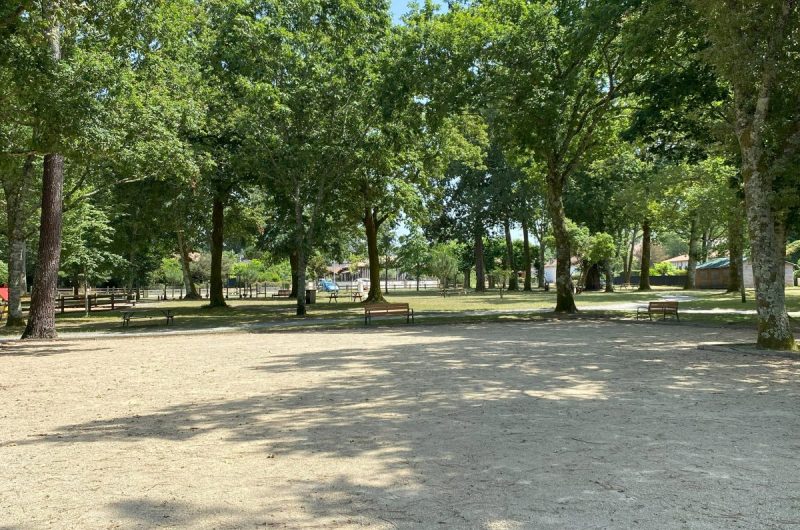 CLNT-LINXE-Parc Dufau (23)