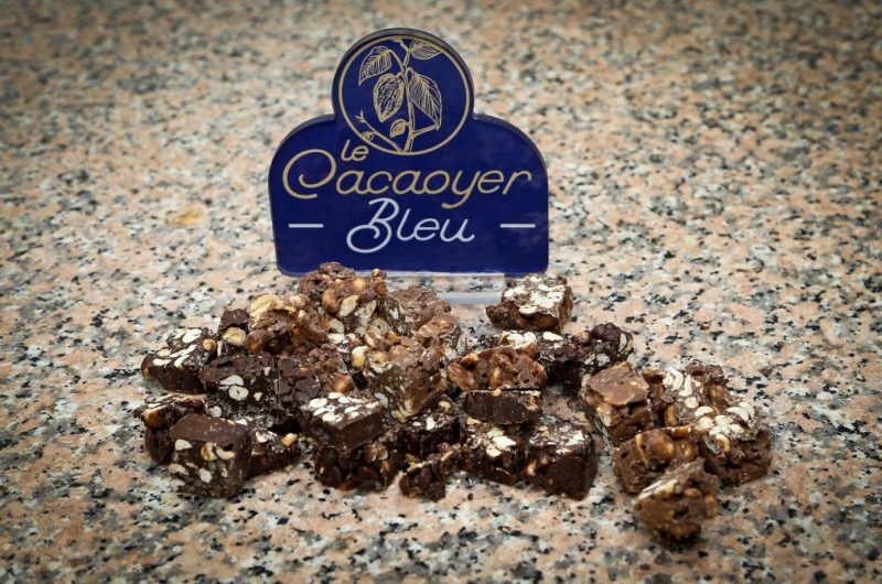 Cacoyer_bleu_2026_TS03