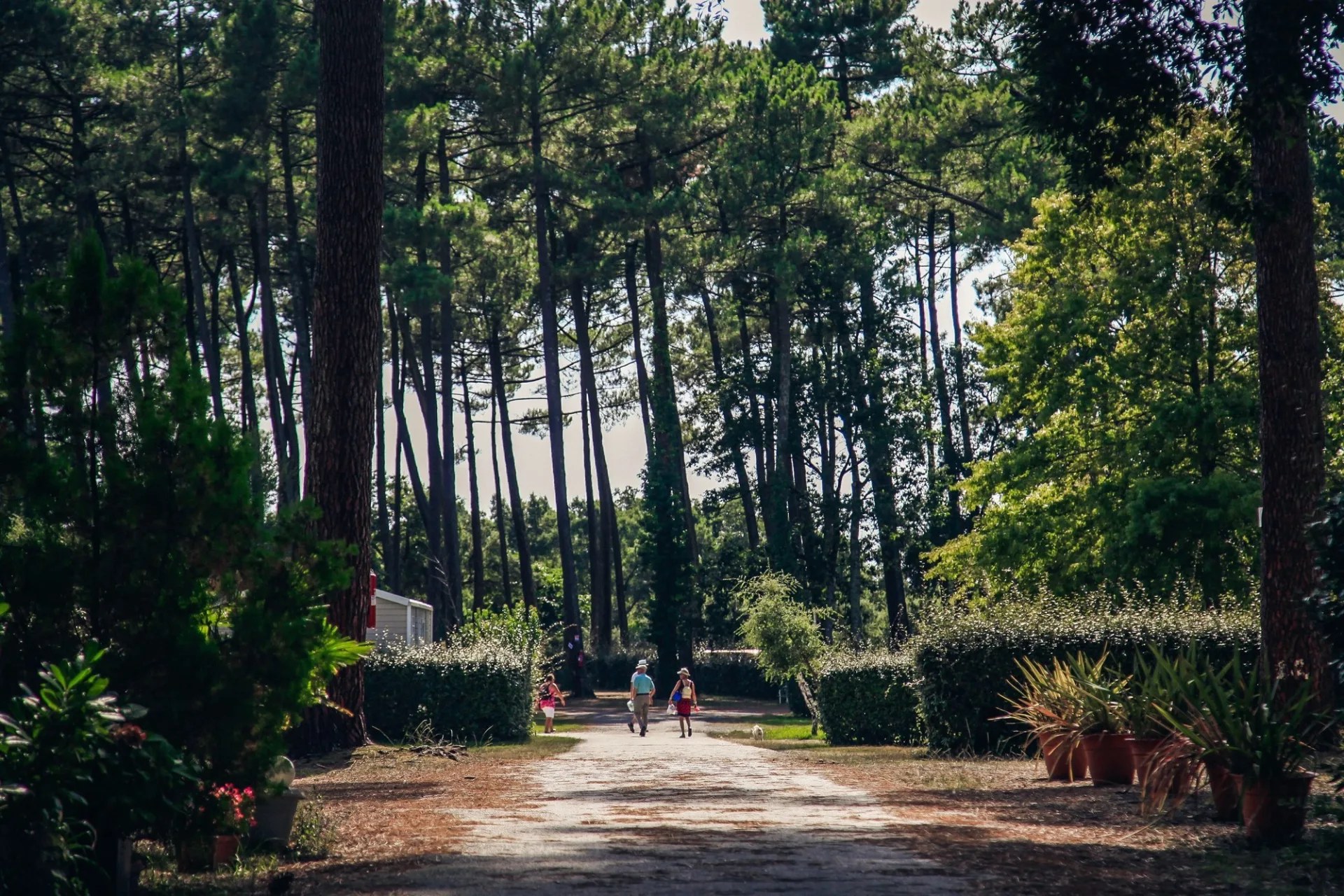 Camping-la-civelle-landes-atlantique-sud–1-