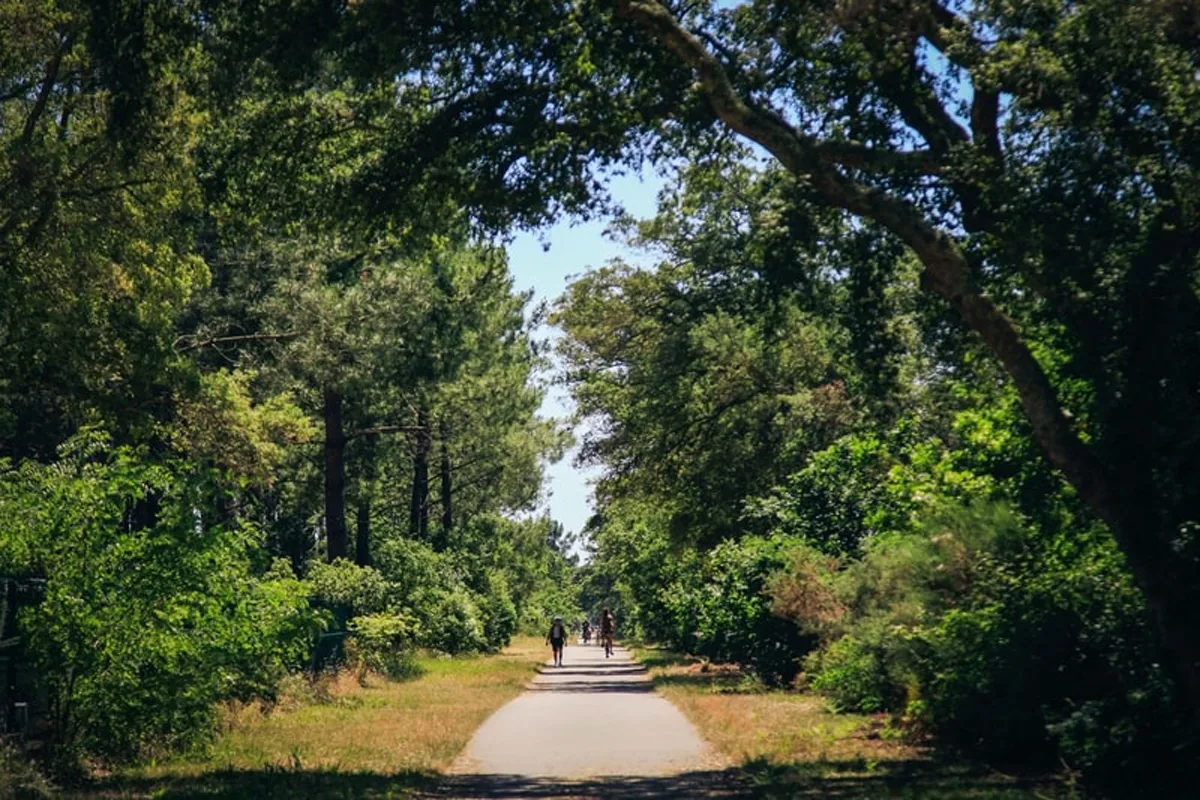 Camping-la-civelle-landes-atlantique-sud-cap–2-