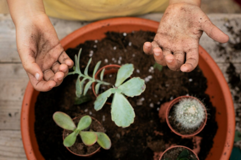 Capture-d-ecran-2026-03-30-153656