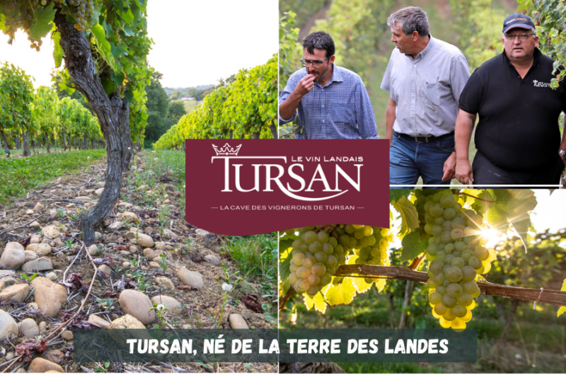 Vallée du Kiwi (85 x 50 mm) – 1