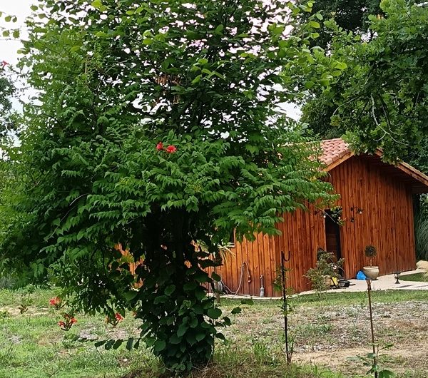 Chalet Mayura (9)