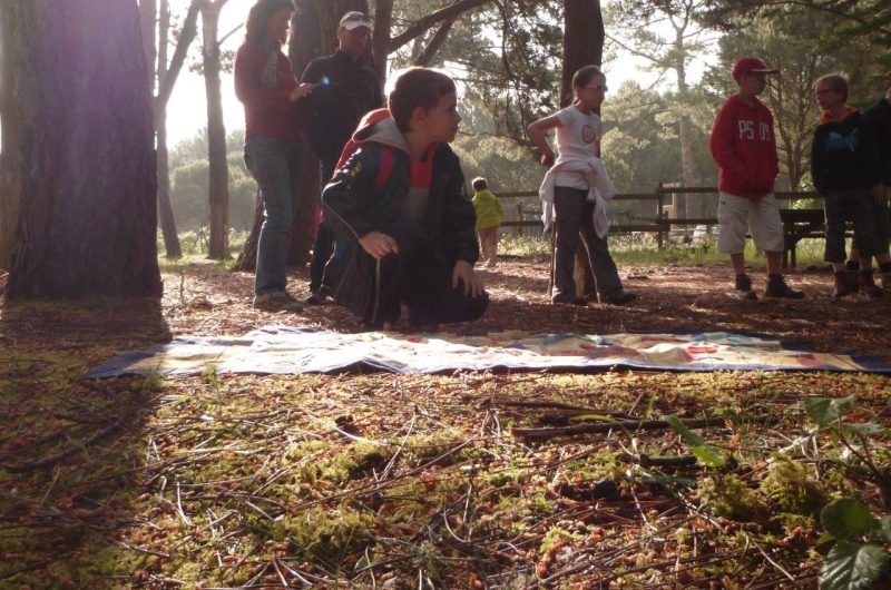 Chasse au trésor des forestiers onf (5)