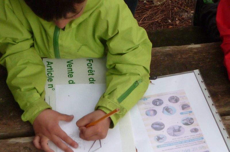 Chasse au trésor des forestiers onf (6)