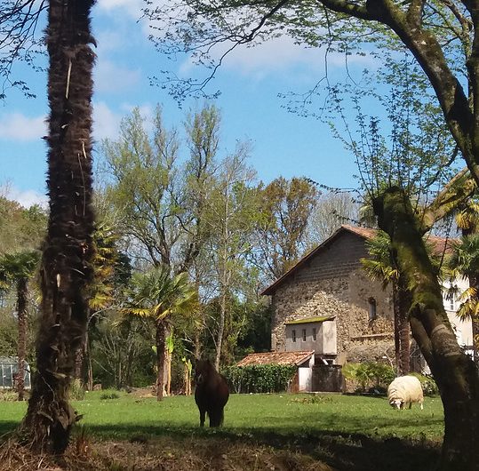 ChateauStMartin05-Pouillon-ChateauStMartin-2