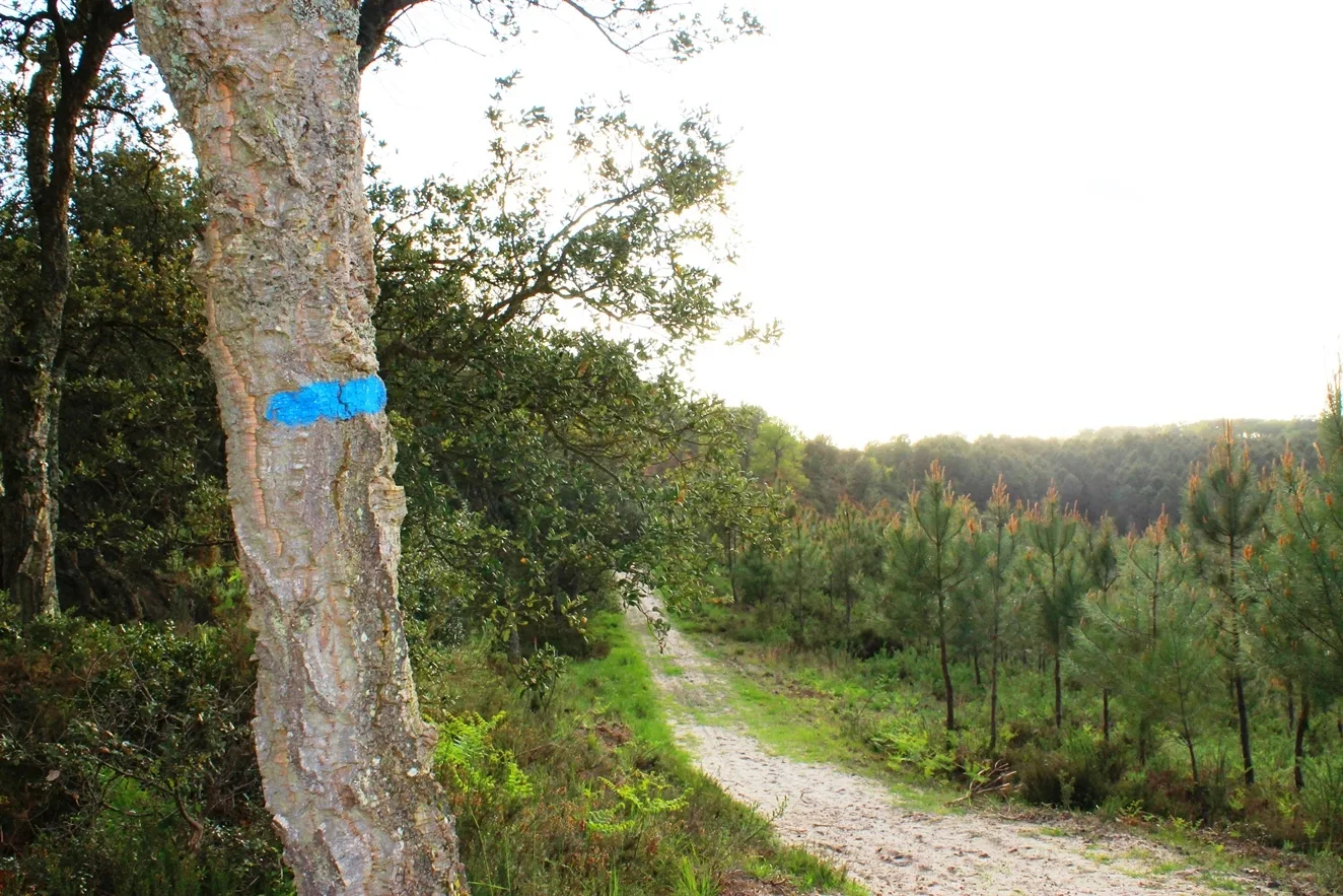 Le circuit bleu des „Tucs“