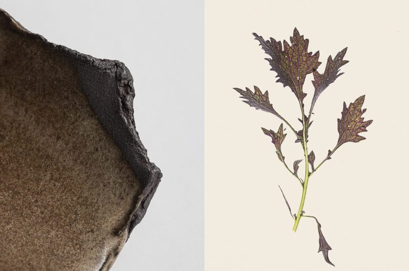 Claire-Schott-céramiste-Landes-diptyque-8