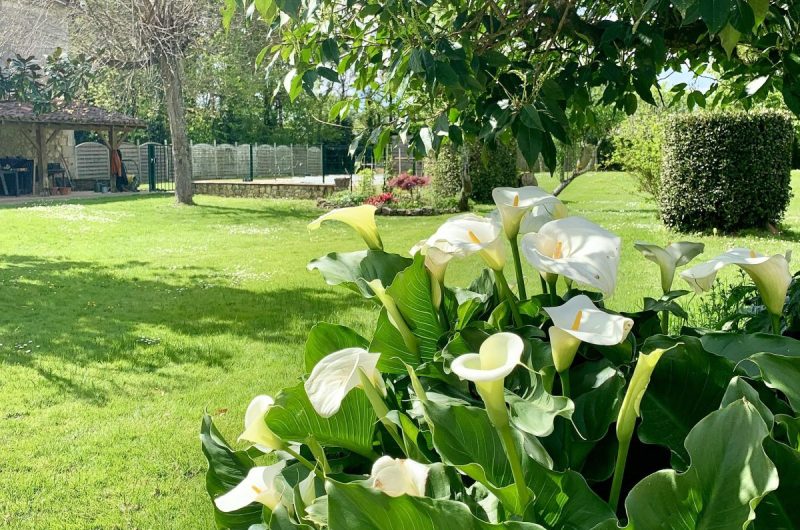 Clos du Benestar-chambre3