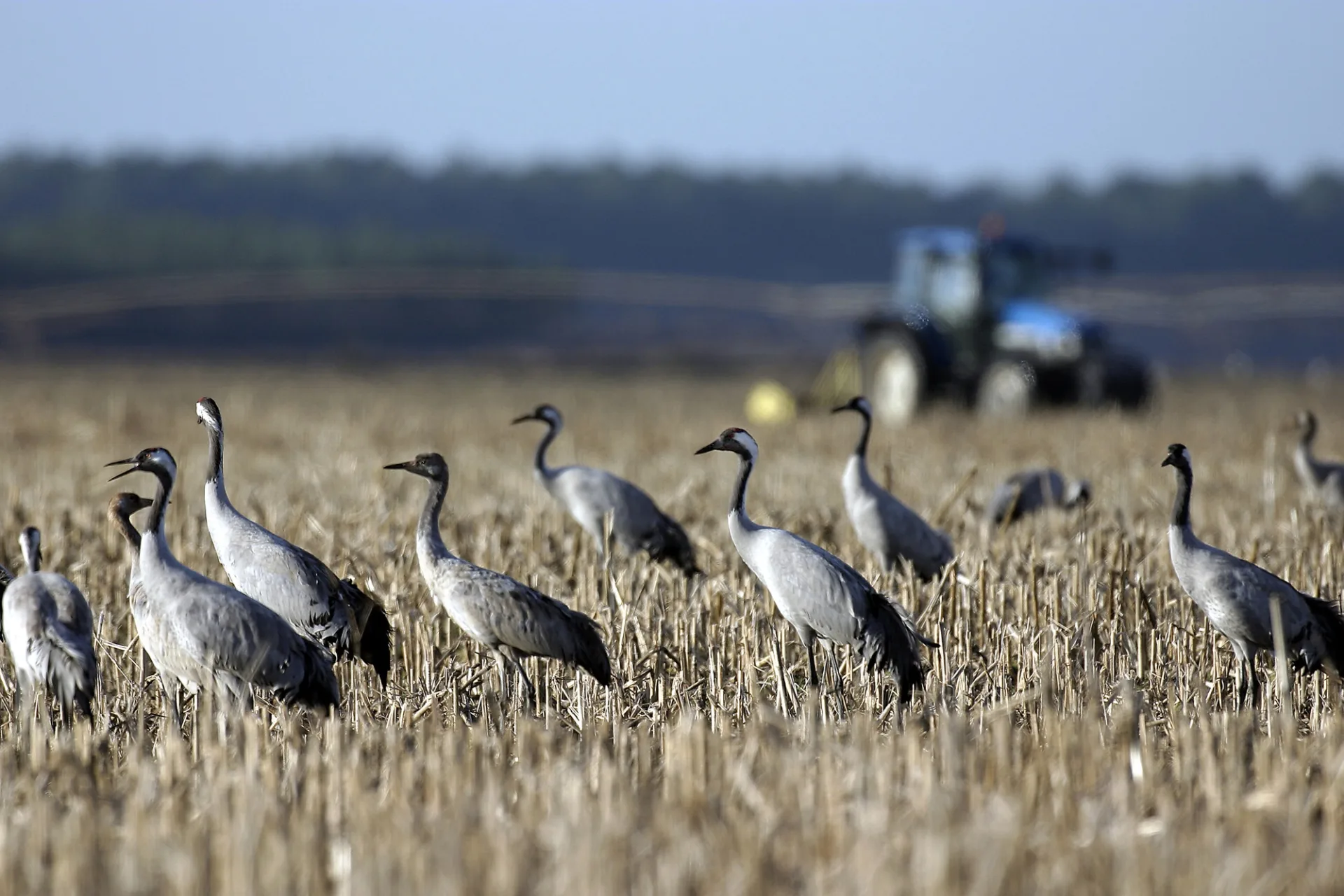 Crédit© Capnord – Fotolia