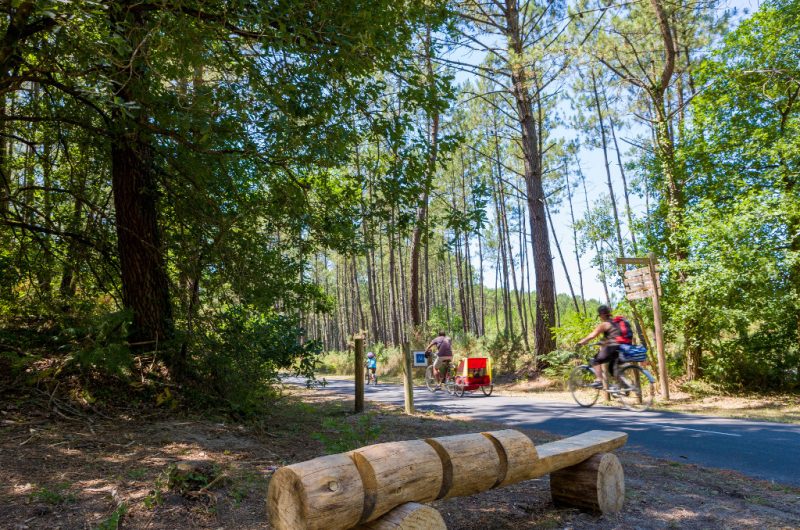 DESCOMBES Jean-Eric – LEON – Pistes Cyclables (2)