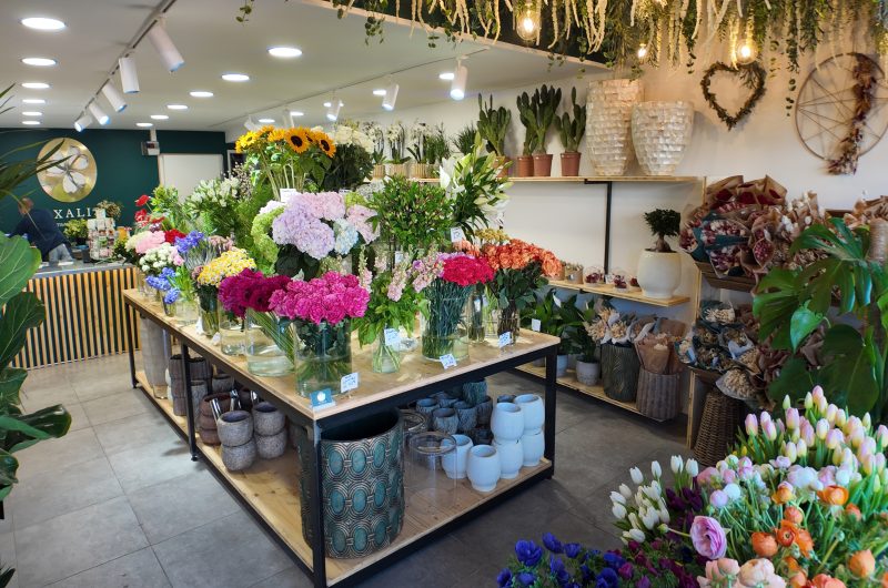 DJI_20250228101406_0039_D