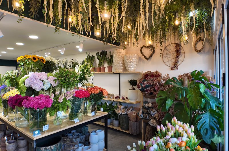 DJI_20250228101435_0043_D